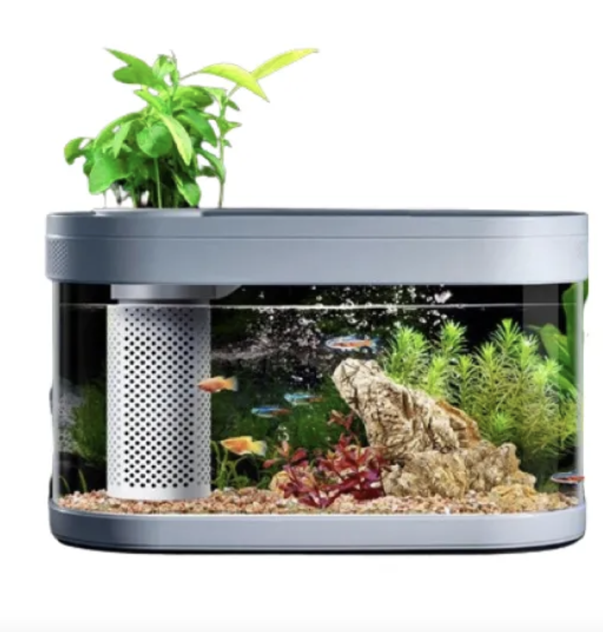 Xiaomi HFJH Geometry Fish Tank รุ่น Pro / รุ่น Lite ตู้ปลาจำลองระบบนิเวศน์ในน้ำ